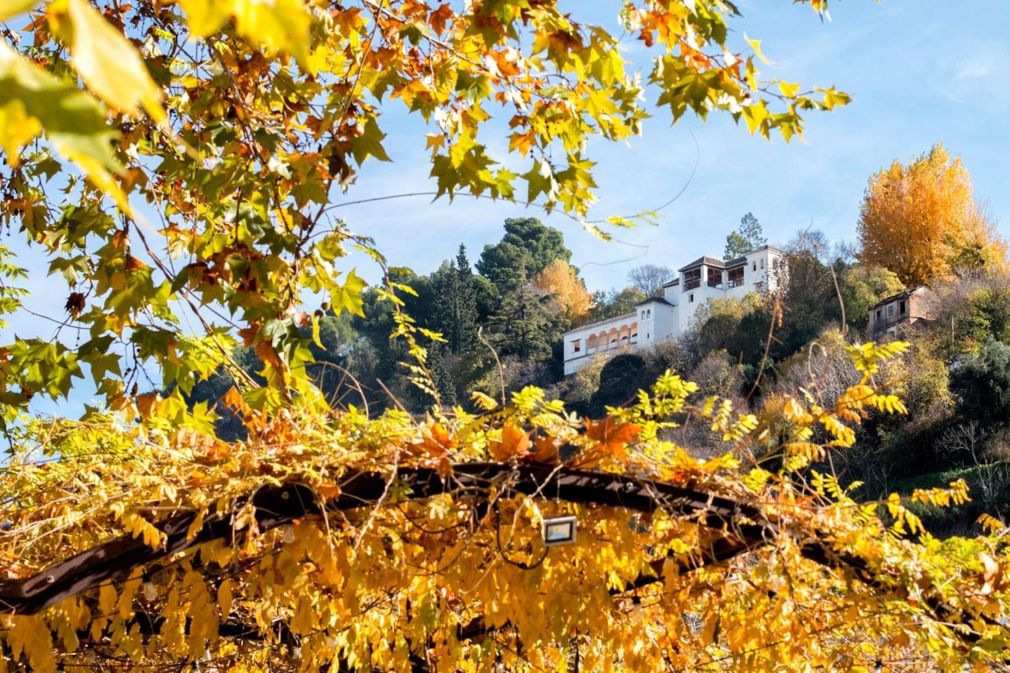 格拉纳达Luxury Alhambra Hideaway公寓 外观 照片